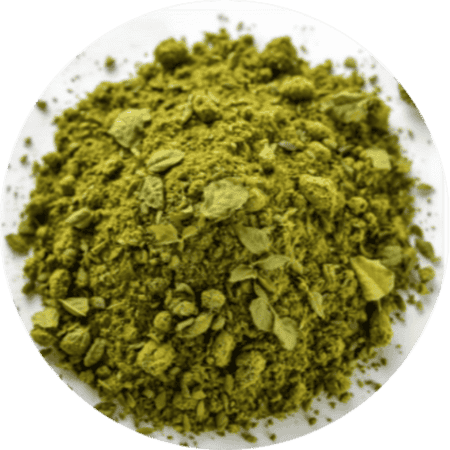 Green Tea Extract